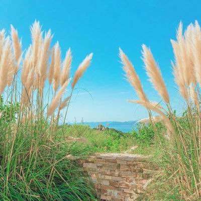 爱游戏下载安装截图