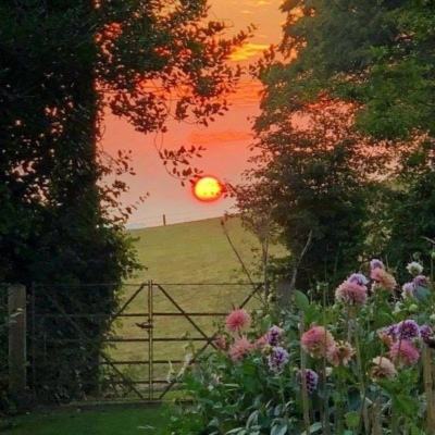 澳门天天免费资料大全下载app下载