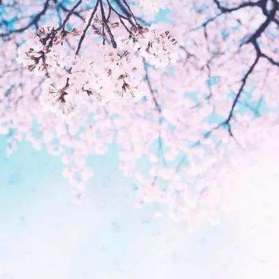 爱游戏下载安装