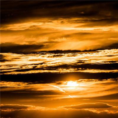 帝一娱乐下载手机版