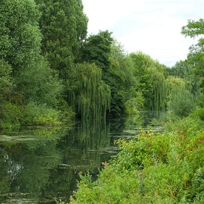 澳门正版资料大全