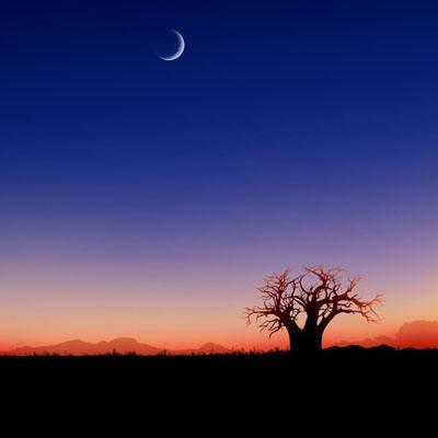 博鱼(boyu)·体育