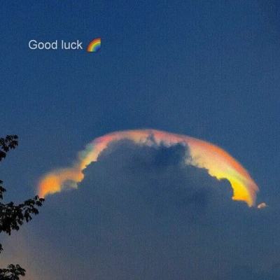 半岛网页版入口