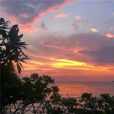 开元ky888vip下载手机版