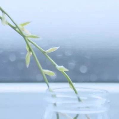 江南体育app官方入口